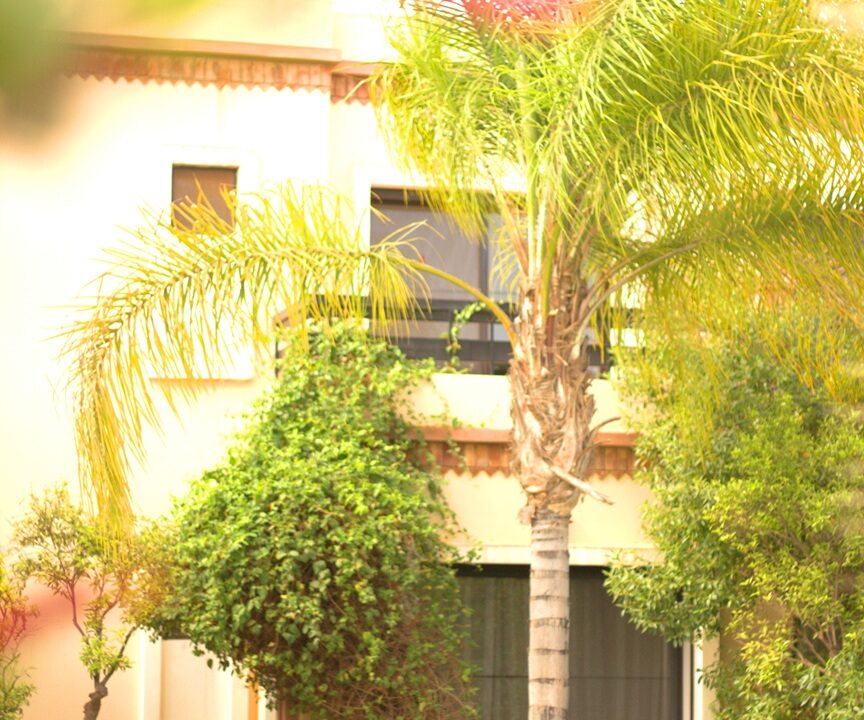 photo-8