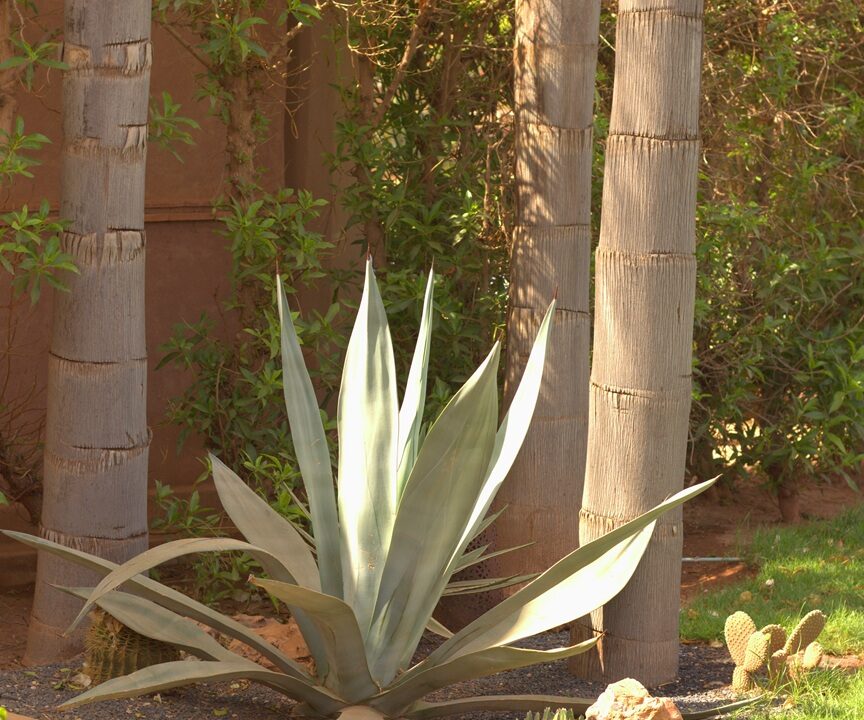 photo-17