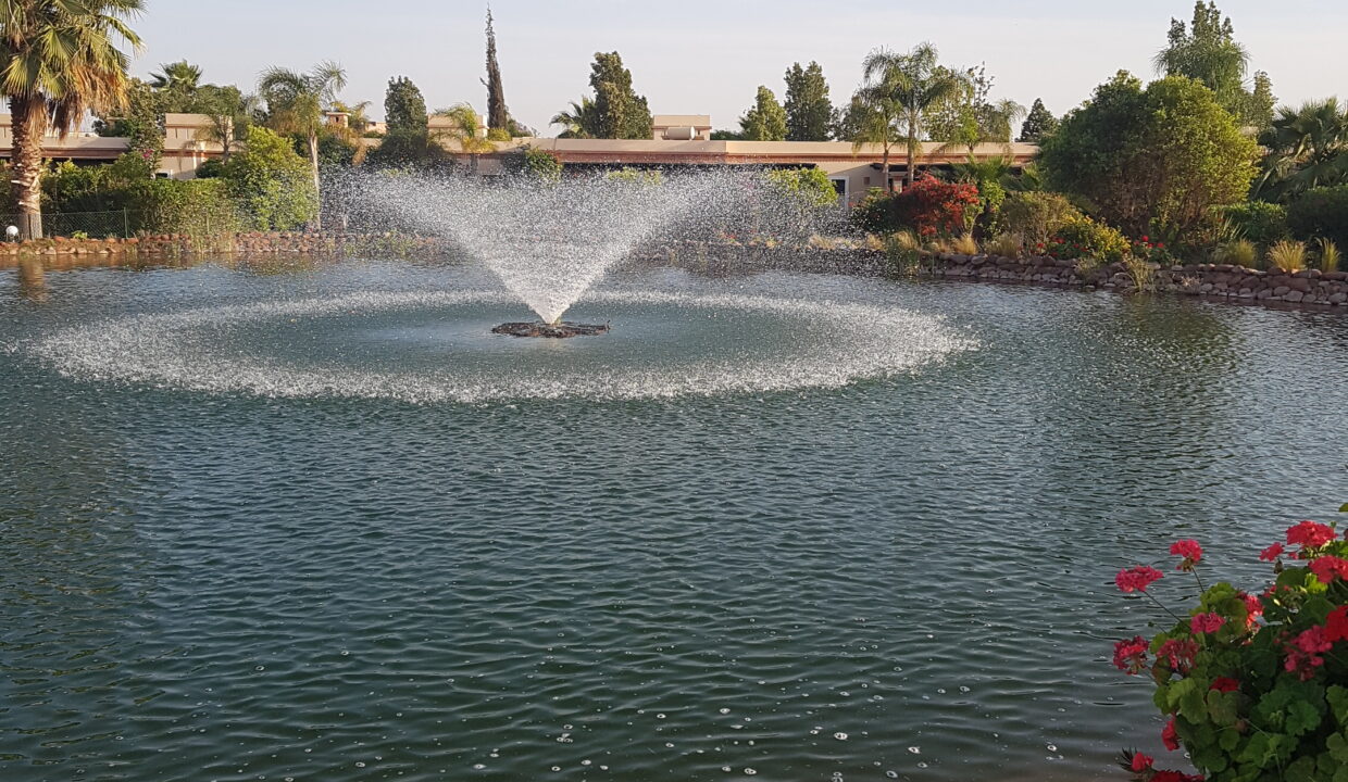 20200409_184955