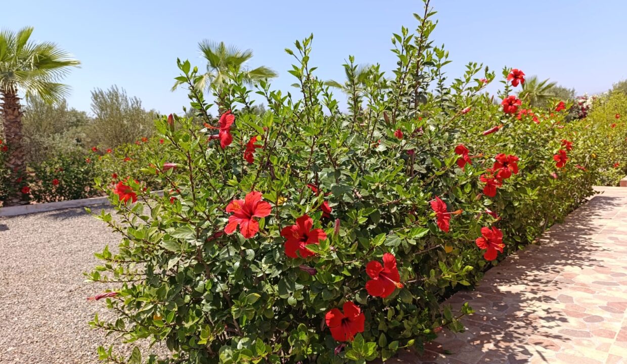 IMG-20250427-WA0027