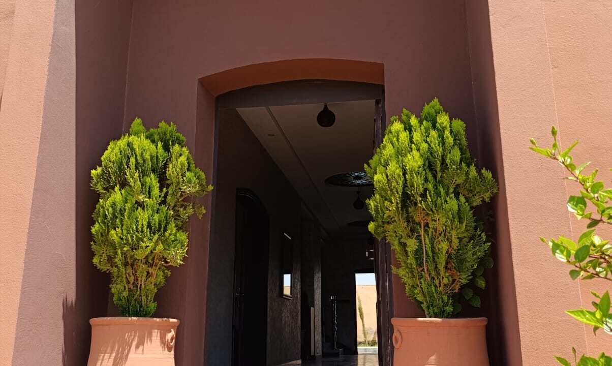 IMG-20250427-WA0031