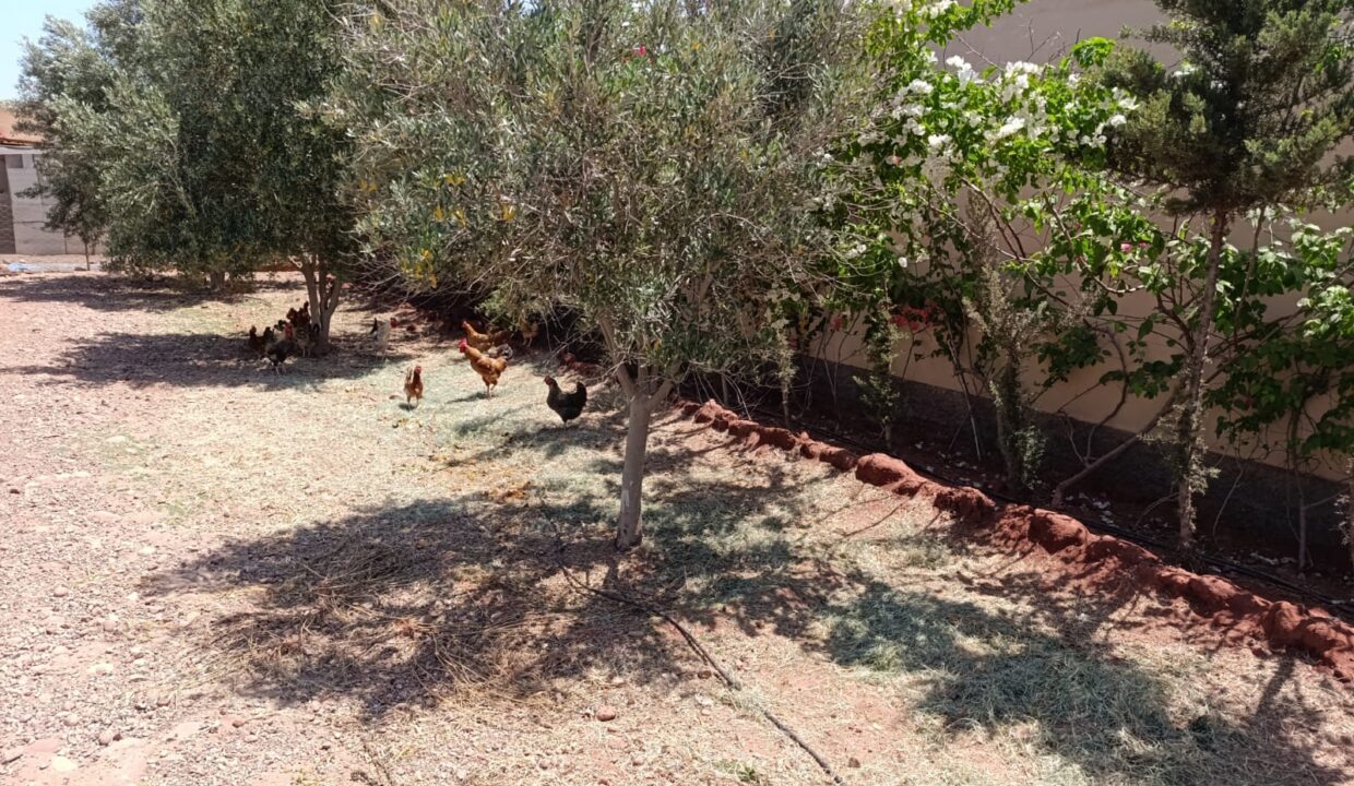 IMG-20250427-WA0072