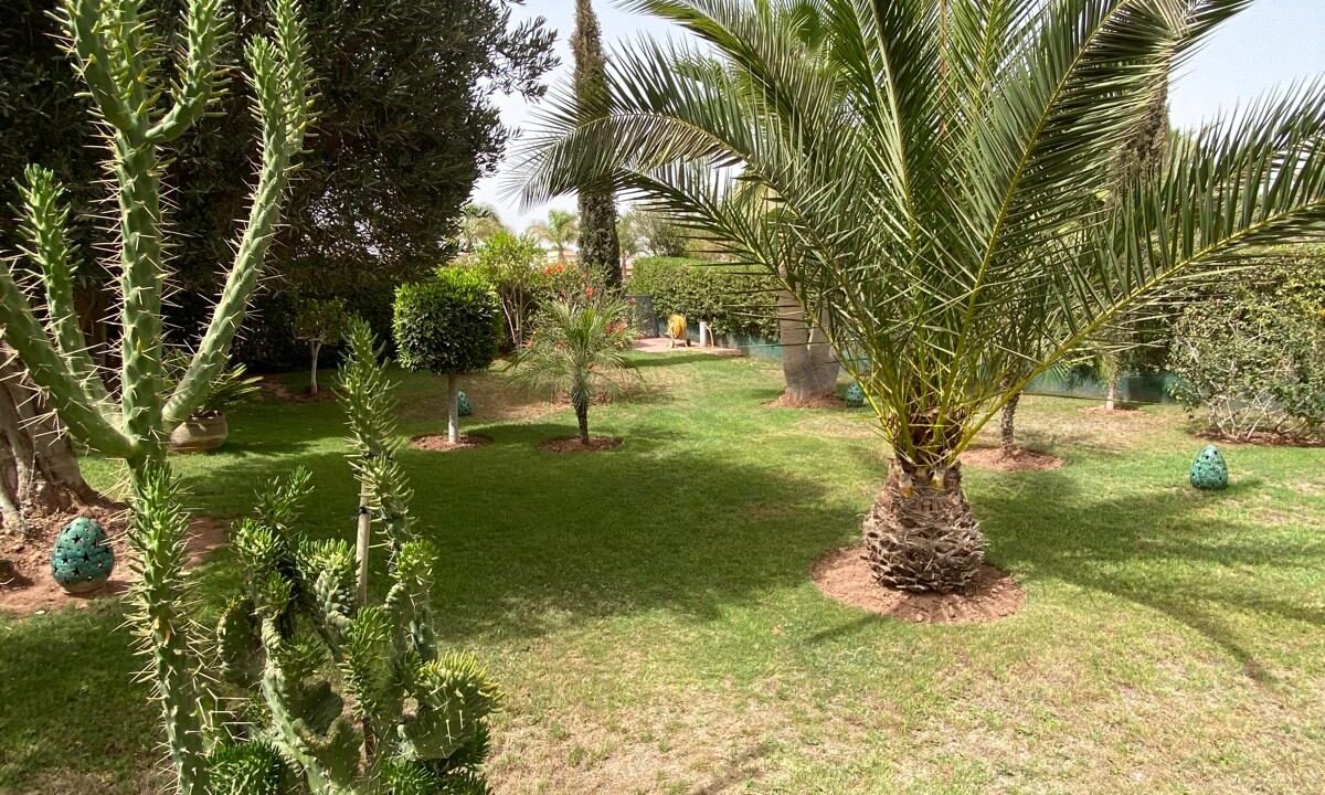 IMG-20250513-WA0017